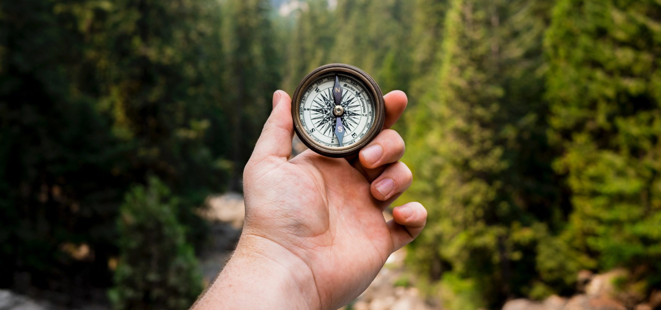 A hand holding a compass with a forest in the background.